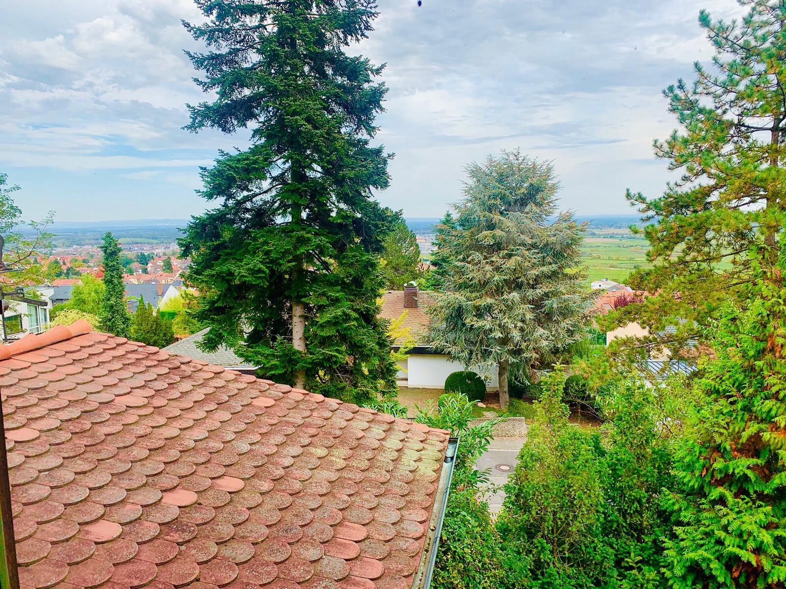 Große Villa auf sensationellem Grundstück in bester Lage von Hambach Große Villa auf sensationellem Grundstück in bester Lage von Hambach