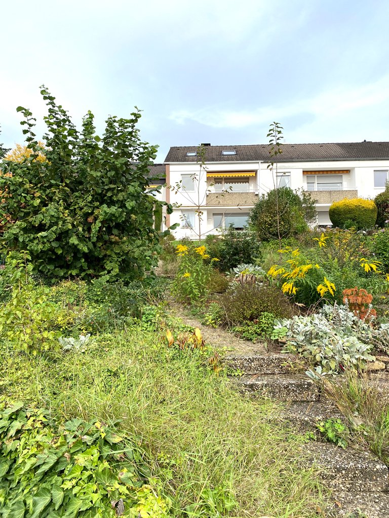 Blick über den Garten auf das Haus